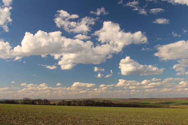 Un campo con le nuvole nel cielo