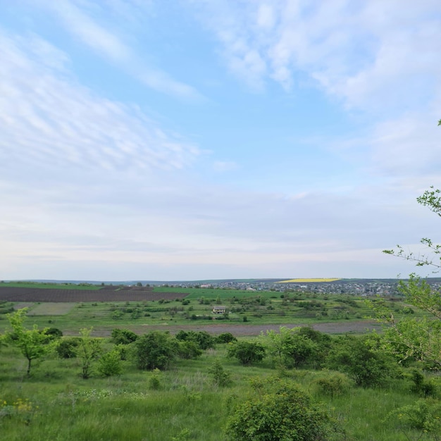 Un campo con un campo di erba verde e un cielo azzurro con poche nuvole.