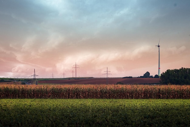 Un campo con un campo e un mulino a vento sullo sfondo