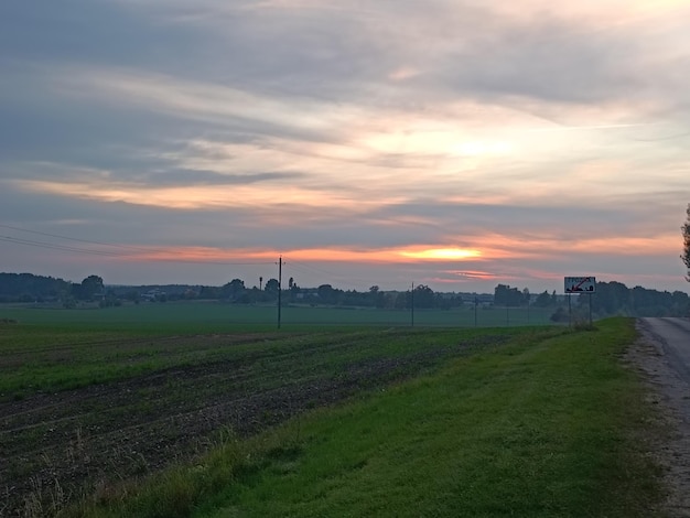 Un campo con un cartello che dice "la strada a sinistra"