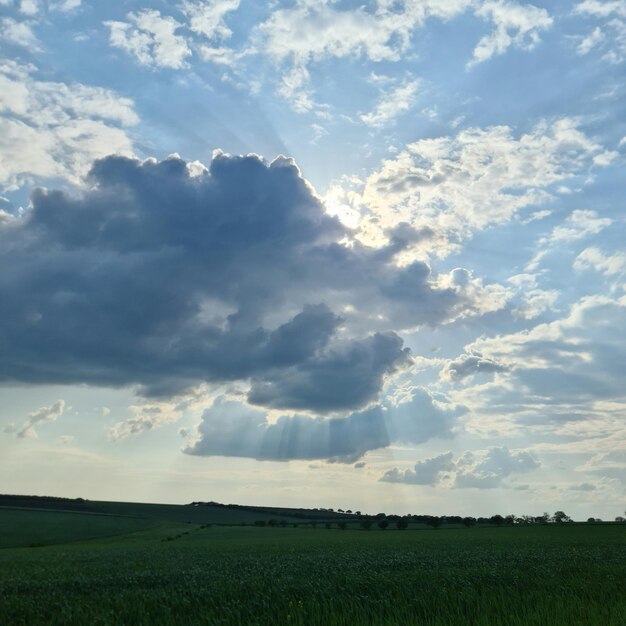 Un campo con un cielo blu e nuvole