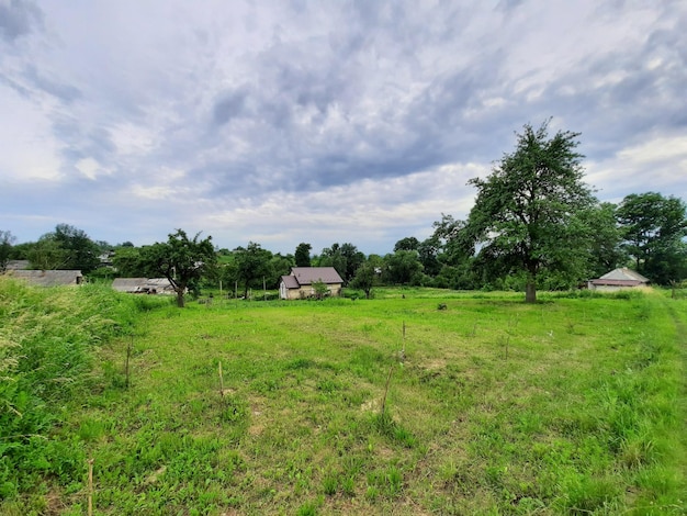 Un campo con una casa sullo sfondo