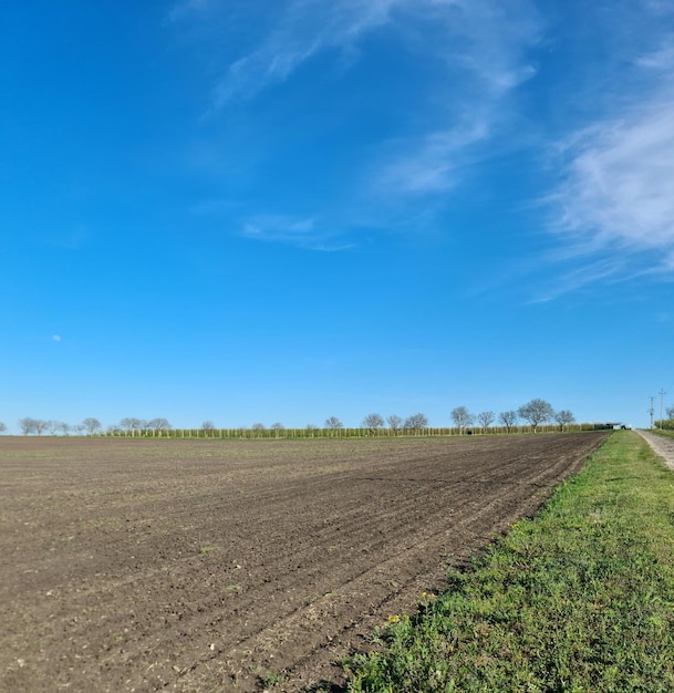 Un campo con una strada sterrata e un cielo blu