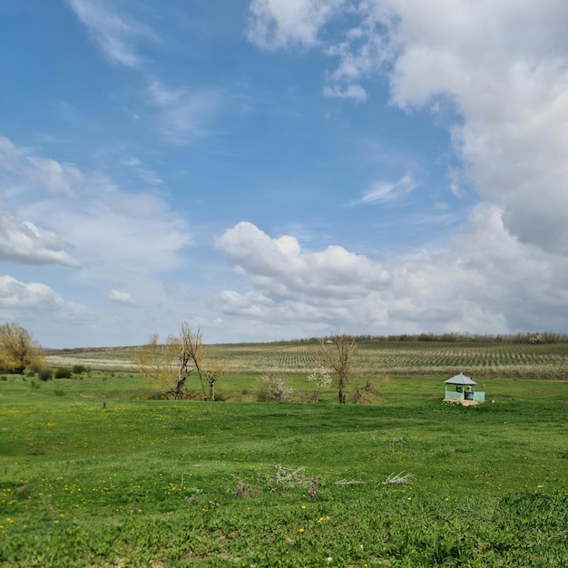 Un campo di erba verde con un cielo azzurro e una casetta in primo piano.