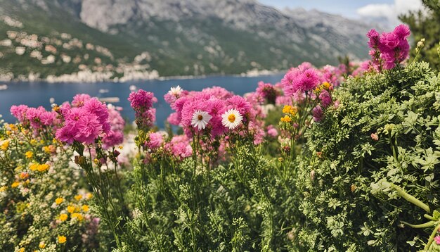 un campo di fiori con un lago sullo sfondo