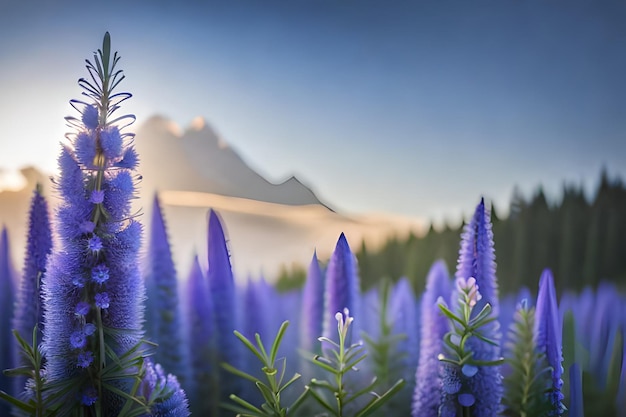 Un campo di fiori viola con le montagne sullo sfondo