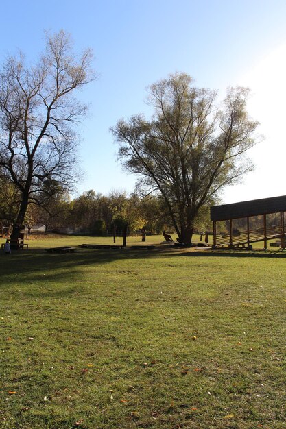 Un campo erboso con alberi e una struttura