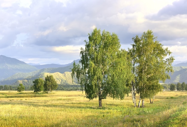 Un campo rurale tra i monti Altai sotto un cielo nuvoloso blu Siberia Russia