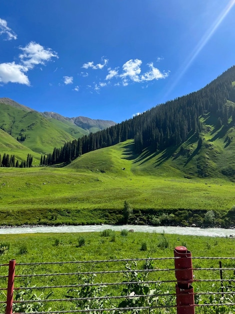 Un campo verde con le montagne sullo sfondo