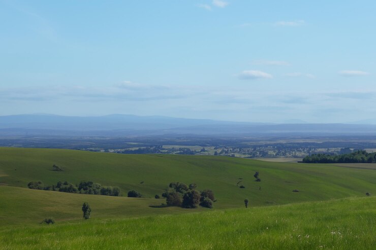 Un campo verde con un cielo azzurro e qualche nuvola