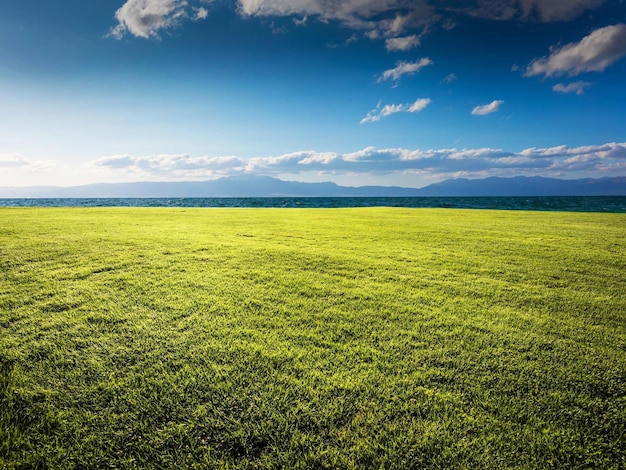 Un campo verde con una montagna sullo sfondo