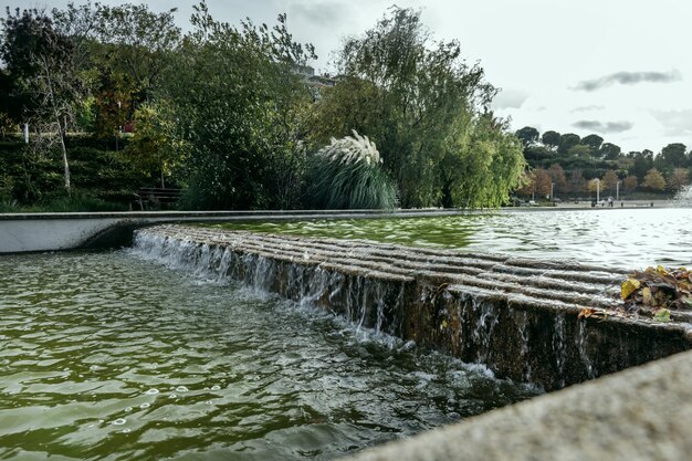 Un canale acquatico in un parco urbano