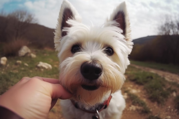 Un cane accarezzato da una persona IA generativa