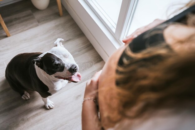 Un cane che guarda il suo padrone che è incinta la donna è irriconoscibile solo la sua pancia è visibile