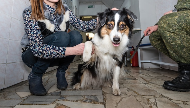 Un cane con il proprietario in attesa di ricovero dal veterinario