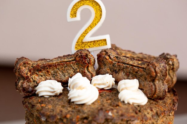 Un cane e il suo regalo di compleanno sotto forma di una torta di compleanno un simpatico cucciolo con un cappello festivo posa in n