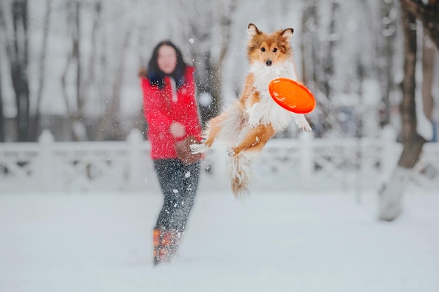 Un cane salta in aria con un frisbee in bocca.