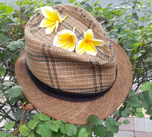 un cappello di paglia con fiori gialli sopra e un cappello di paglia con sopra un fiore giallo.