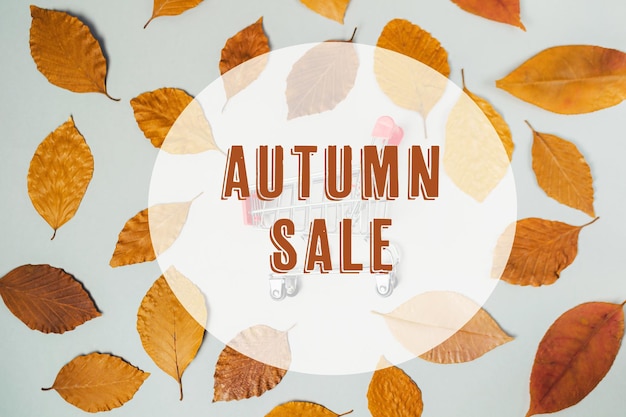 Un cartello di vendita autunnale è visualizzato su uno sfondo di foglie d'autunno