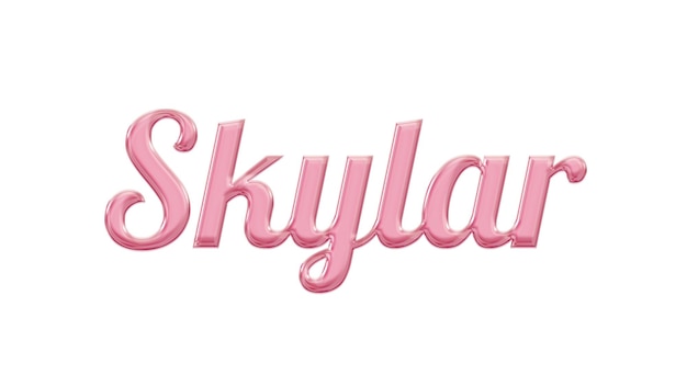 Un cartello rosa con su scritto skyland