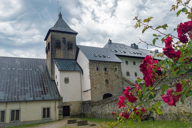 Un castello con davanti un fiore rosa