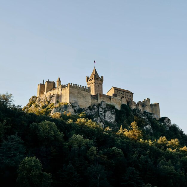 Un castello medievale in cima a una collina con silhouette di alberi e un cielo limpido