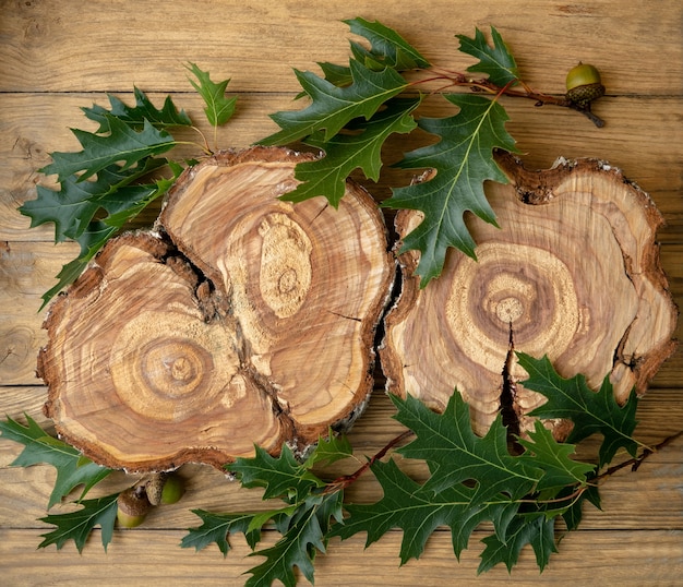 Un ceppo di albero abbattuto con anelli annuali su uno sfondo di assi di legno con rami e foglie di quercia