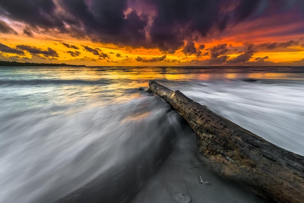 Un ceppo in acqua al tramonto