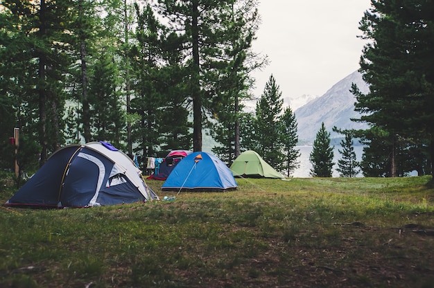 Un certo numero di tende in piedi su un prato nel bosco su uno sfondo di lago e montagne. Campeggio in pineta