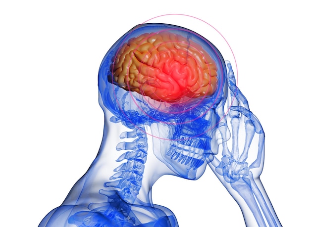 un cervello blu e rosa con un cervello rosso al centro