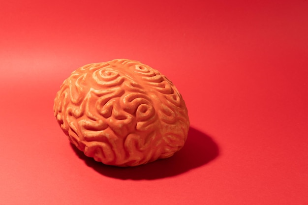 Un cervello su sfondo rosso