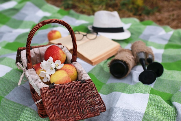 Un cestino con cibo su picnic a quadri nel parco primaverile