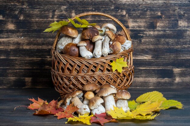 Un cesto di funghi porcini su uno sfondo di legno