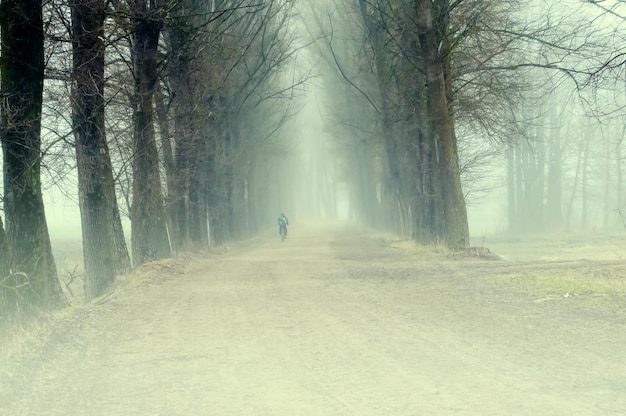 un ciclista solitario percorre la strada
