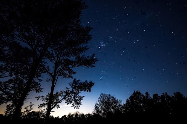 Un cielo notturno stellato con una stella cadente e le sagome degli alberi visibili in primo piano