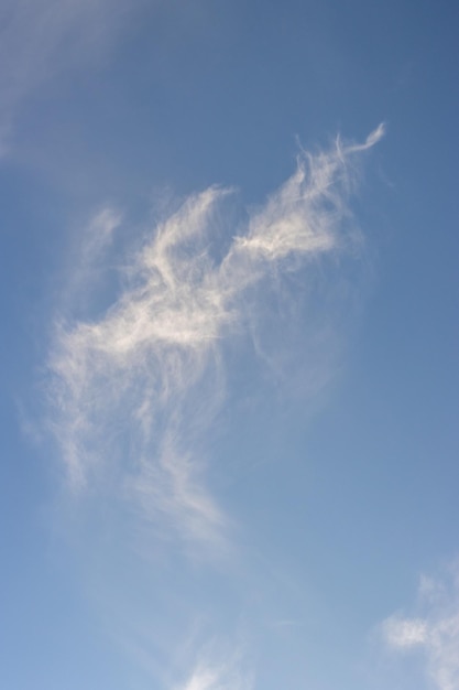 Un cielo sereno, nuvole bianche che si affacciano su un ambiente blu e soleggiato.