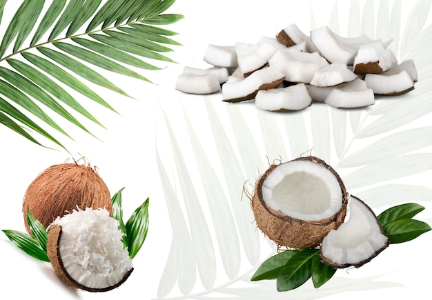 un cocco intero mezzo riempito di cocco frantumato fiocchi di cocco sparsi e foglie verdi su uno sfondo scuro che enfatizza la ricchezza e l'essenza naturale del cocco
