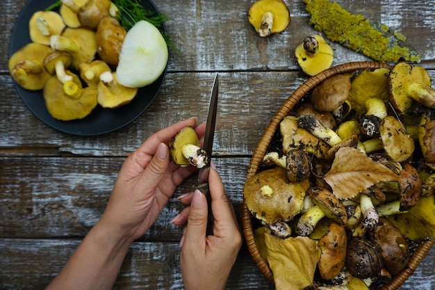 Un coltello è nelle mani delle donne, una donna sta pulendo i funghi appena raccolti