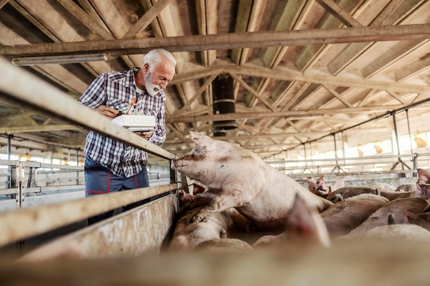 Un contadino barbuto anziano che tiene una scatola con integratori per animali