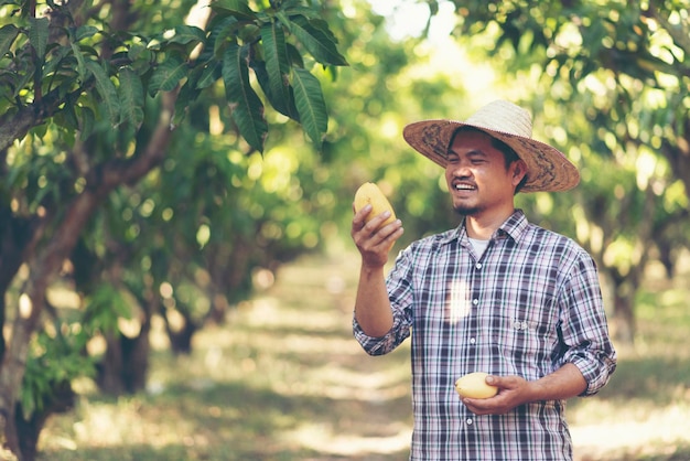 Un contadino che gioca con il mango in una fattoria