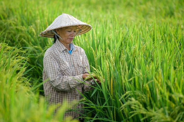 Un contadino che indossa un cappello vietnamita