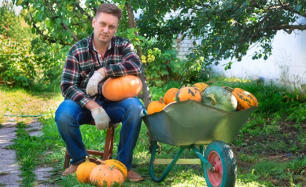 Un contadino che riposa dopo il raccolto autunnale siede vicino a una carriola con delle zucche in giardino pumpkin