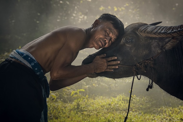 Un contadino mostra amore con il suo bufalo nel distretto di Wanon Niwat, provincia di Sok Nakhon, Thailandia 15/12/62