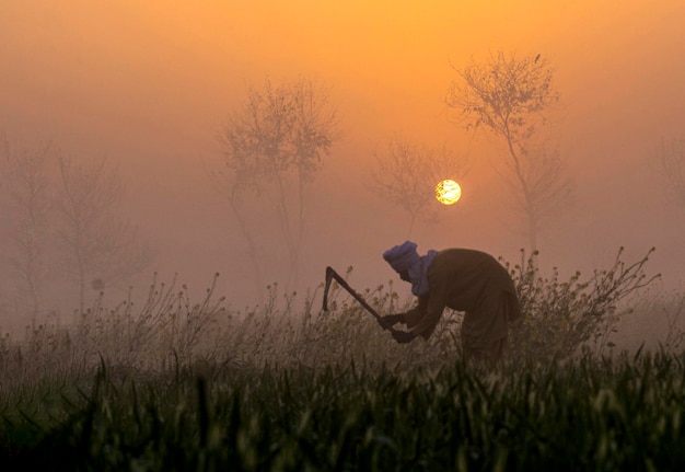 un contadino sta lavorando nel campo nella nebbia, paesaggio con l'alba nella nebbia