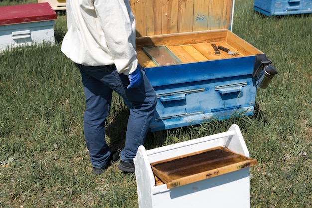 Un contadino su un apiario di api tiene cornici con favi di cera Preparazione pianificata per la raccolta del miele