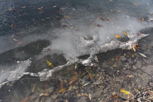 Un corpo d'acqua con alberi sullo sfondo