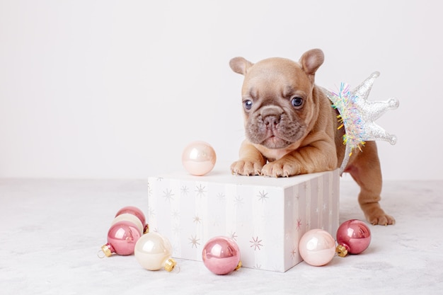 un cucciolo di bulldog francese con giocattoli per l'albero di Natale e una confezione regalo su sfondo grigio