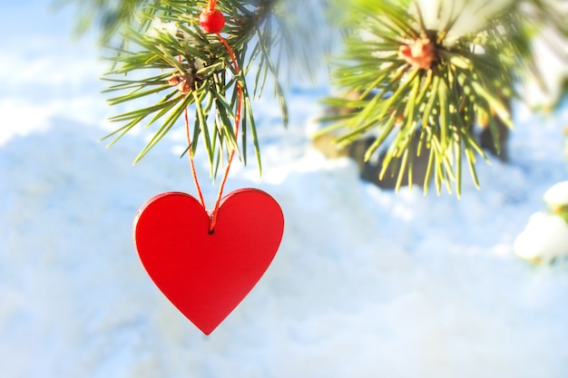 Un cuore rosso in legno si blocca su un ramo di pino in una giornata invernale di sole. San Valentino
