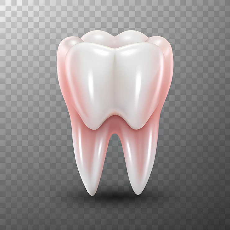 Foto un dente con una parte superiore rosa e un dente bianco su uno sfondo grigio