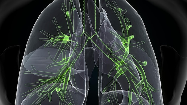 un diagramma di un cervello umano con linee verdi